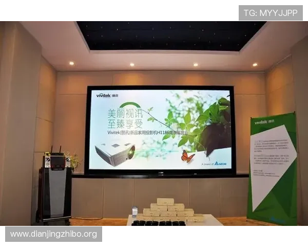 全面解析视讯娱乐代理的盈利模式与风险控制策略帮助新手快速入门